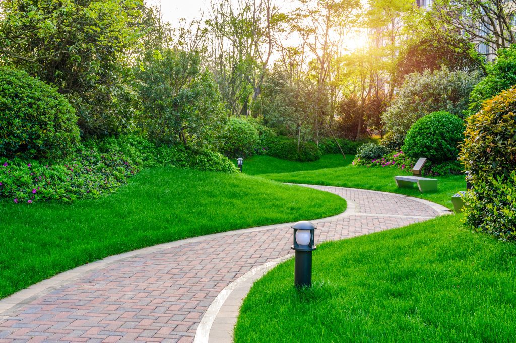 Pathways,With,Green,Lawns,,Landscaping,In,The,Garden,top,View,Of