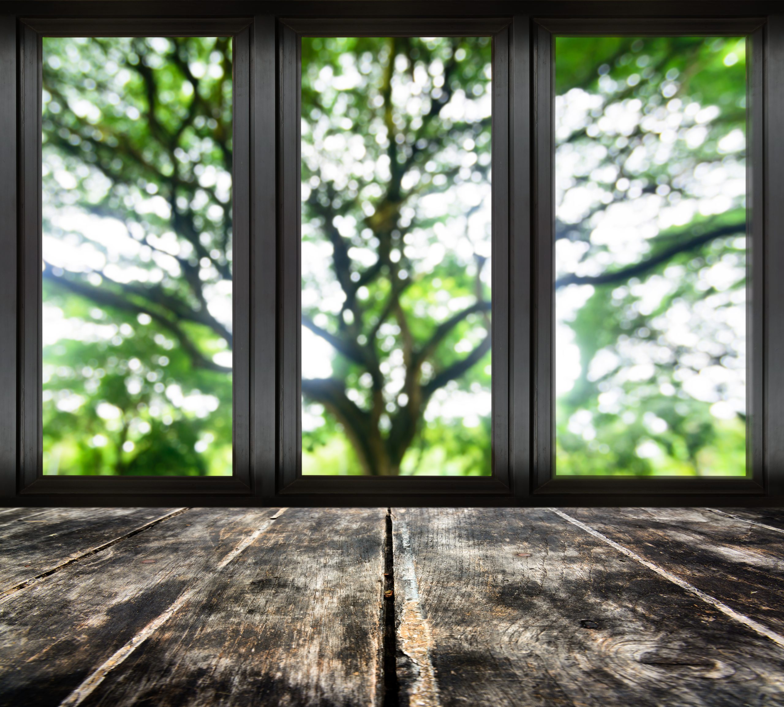 Black Frame Windows Are Trending mydiwise